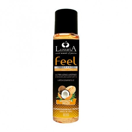 Lubrificante Feel Fragrance Coconut Melon 60ml
